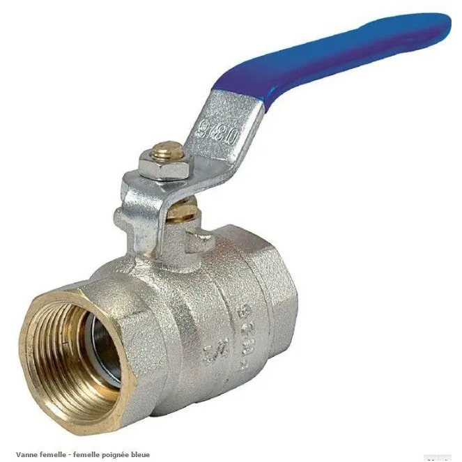 Vanne Femelle/Femelle poignée bleue Poignée / papillon- Discount Plomberie