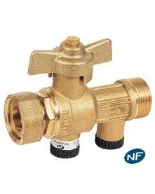 Robinet compteur 3/4 MF avec Clapet