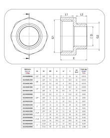 MAMELON Femelle/Mâle RÉDUIT laiton à visser - Discount Plomberie